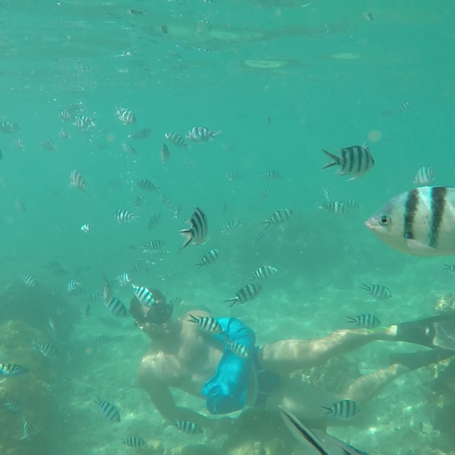 vlcsnap-2016-07-22-22h35m47s398